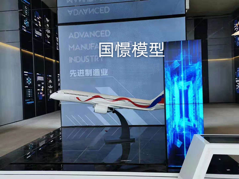 拉萨飞机模型