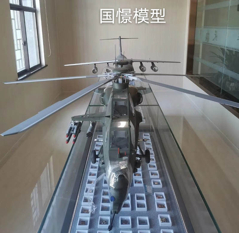 拉萨飞机模型