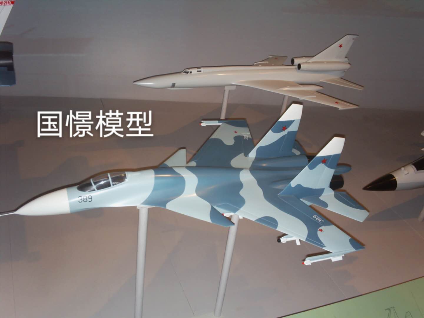 拉萨军事模型